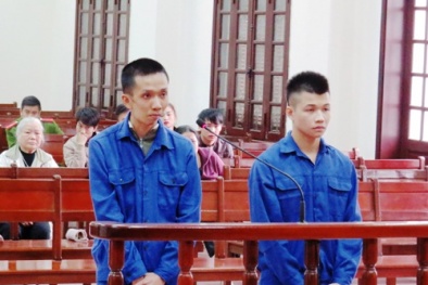 Tin tức pháp luật mới nhất 24h hôm nay ngày 24/12