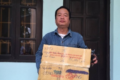 Tin tức pháp luật mới nhất hôm nay ngày 26/12