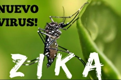 Bộ Y tế cảnh báo virus ăn não do muỗi Aedes
