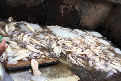 Chặn 4 tạ mực đông lạnh lậu đang 'tuồn' ra chợ ở Thủ đô