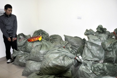 Khen thưởng công an triệt phá đường dây mua bán, tàng trữ 1.450kg pháo