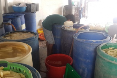Phát hiện hơn 7 tấn măng chuẩn bị ngâm hóa chất