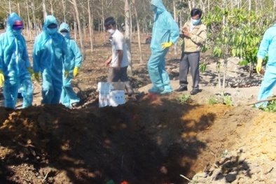 Đọc báo hôm nay: Những tin tức mới cập nhật ngày 16/1/2016