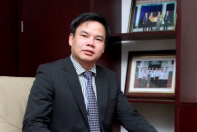 Vì sao ông Lê Đình Vinh bị dừng bổ nhiệm chức Hiệu trưởng ĐH Luật Hà Nội?