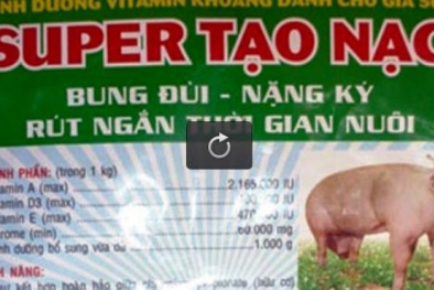 Một cửa hàng nhập gần 7 tấn thức ăn chăn nuôi có chất cấm về tiêu thụ