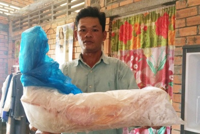 Ngư dân nghèo bắt được cá ‘vàng óng ánh’