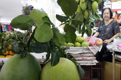 Thị trường TP.HCM: Trái cây tăng mạnh trước ngày 29 Tết