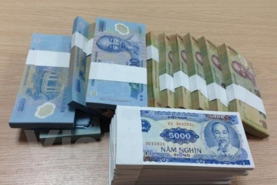 Tiền lẻ đã dần vắng bóng tại đền, chùa trong dịp đầu Xuân