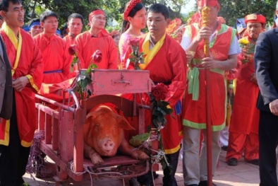Lễ hội chém lợn ở Bắc Ninh 2016: Ông Ỉn được rước đi ‘trảm’ kín
