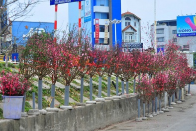 Đào Nhật Tân 'ngậm ngùi' sau Tết, vớt vát ngày Rằm tháng Giêng