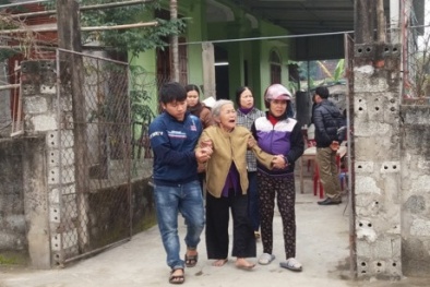 Mẹ già chết ngất nghe tin con trai đi cày bị trâu nổi điên húc chết