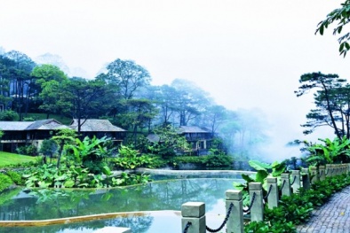 Vườn Quốc gia Ba Vì ‘bán’ đất xây resort với giá bao nhiêu?