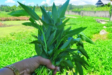 Những ai không nên ăn rau muống