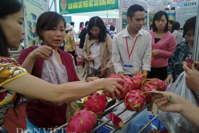 Loạn nông sản sạch, lạ trên mạng