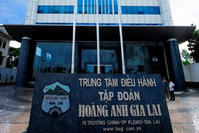 Khoản nợ hơn 1 tỷ USD đè nặng trên vai Bầu Đức