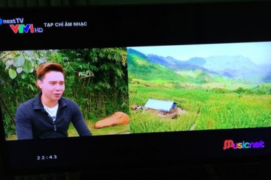 VTV gửi công văn nhận vi phạm bản quyền nhưng chưa xin lỗi