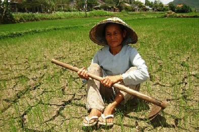 Xâm nhập mặn và hạn hán ở Việt Nam: Ngồi ở Bến Tre cũng có thể tắm biển