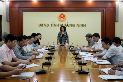 Cả tỉnh Quảng Ninh không có người nào tự ứng cử đại biểu Quốc hội