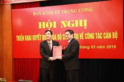 Phó Chủ tịch UBND tỉnh Bình Định làm Phó trưởng Ban Kinh tế Trung ương