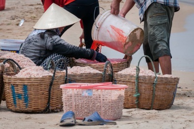 Ruốc nhuộm hóa chất đỏ rực ở Phú Yên: Không thể lấy mẫu xét nghiệm