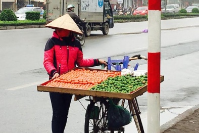 Mận chát đầu mùa: Chị hàng rong ngày thu chục triệu