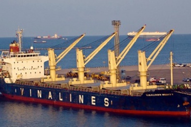 Năm 2015, Vinalines lãi hơn 480 tỷ đồng từ việc thoái vốn