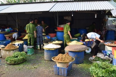 Thừa Thiên Huế: Phát hiện 2 cơ sở kinh doanh măng ngâm hóa chất cấm