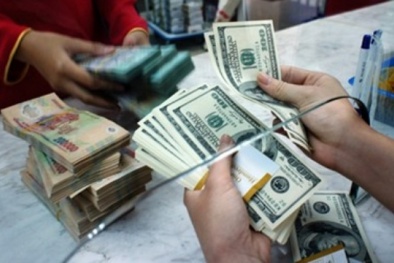 Ngân hàng Nhà nước hé lộ về 7,3 tỷ USD từ Việt Nam đang 'ngao du' ở nước ngoài