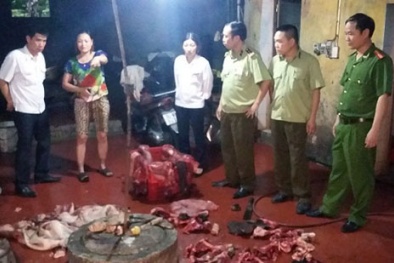 Phát hiện chấn động ở lò giết mổ lợn