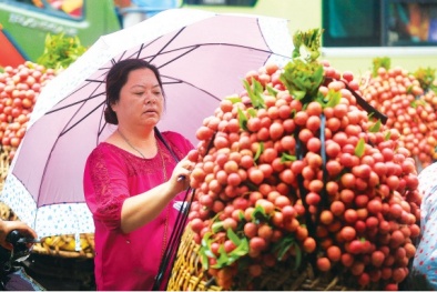 Hỗ trợ tối đa tiêu thụ 130.000 tấn vải thiều Bắc Giang