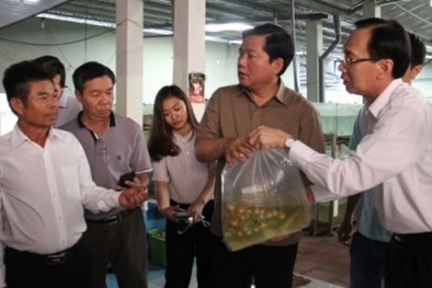 Bí thư Thăng điện khẩn Bộ trưởng Phát vì kiến nghị từ 2005 chưa được giải quyết