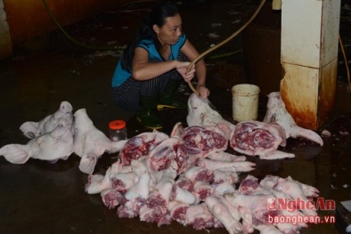 Lò mổ lớn nhất Nghệ An: Giết mổ 200 con lợn nhiễm chất tạo nạc mỗi đêm