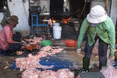 Chế biến mỡ bẩn từ da trâu bò thối rồi đem bán với giá ‘rẻ như bèo’