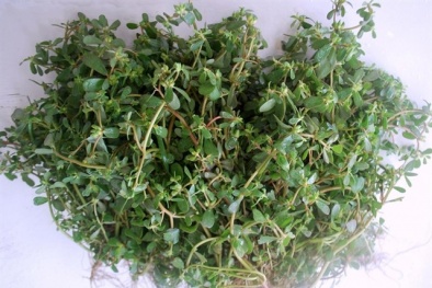 'Đập nát' viên sỏi thận bằng loại rau quen thuộc này
