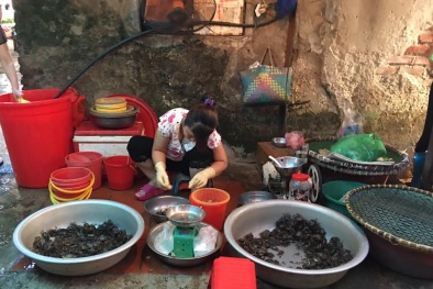 Nắng 40 độ, người dân vẫn không dám mua cua đồng vì sợ bẩn