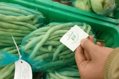 Chuyên gia 'bóc mẽ' rau bẩn giúp bà nội trợ chọn rau sạch