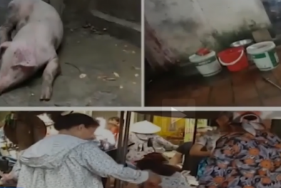 Kinh hoàng biến lợn bệnh, ghẻ lở thành thịt lợn Mán bán tại Hà Nội