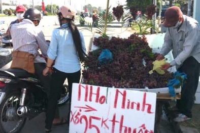 'Hô biến' 100 tấn nho Trung Quốc về Hà Nội thành nho Mỹ - Úc