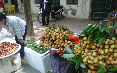 Vải lai 'núp bóng' vải thiều đổ bộ ồ ạt xuống Hà Nội
