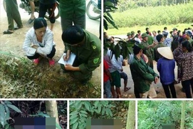 Nghi án mẹ sát hại con gái rồi giấu xác trong bụi tre rậm rạp