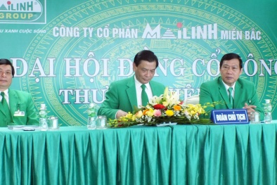 Để rút vốn 'khủng', Mai Linh miền Bắc đã vi phạm nghiêm trọng quy chế tài chính