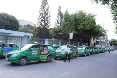 Cổ đông hoang mang về 'bất thường' trong báo cáo tài chính của Tập đoàn Mai Linh
