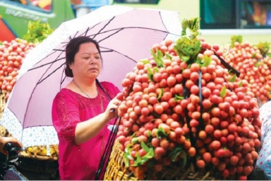 Bắt đầu Tuần lễ vải thiều Lục Ngạn - Bắc Giang tại Hà Nội 2016