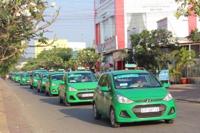 Tập đoàn Mai Linh không còn sở hữu cổ phần mà vẫn là cổ đông lớn của Mai Linh Miền Bắc?