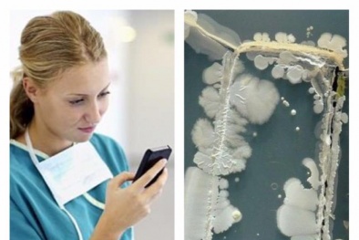 Rùng mình vi khuẩn 'lúc nhúc' trên điện thoại di động của bác sĩ