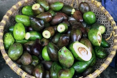 300 cốc sinh tố thơm ngon được chế biến từ những tạ bơ 'thối, nát'