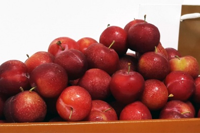 Mận, cherry Mỹ 600 ngàn/kg: Giới nhà giàu Việt sẵn lòng chi tiền ăn mỗi ngày