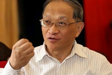 TS. Lê Đăng Doanh: Doanh nghiệp Việt làm gì để phát triển ngoạn mục?