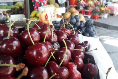 Phơi nắng cả ngày, Cherry Mỹ nhập khẩu vẫn tươi 'roi rói'