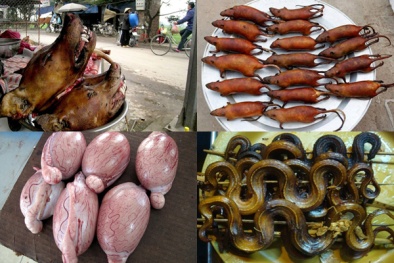 Cận cảnh những món ăn kinh dị của người Việt khiến người Tây 'khóc thét'